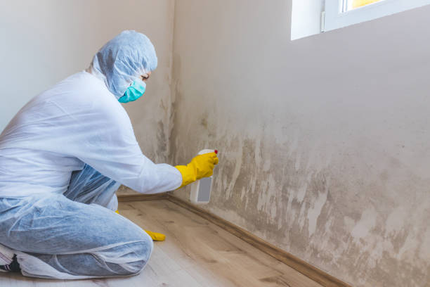 Mold Remediation specialist working in Elliottsburg